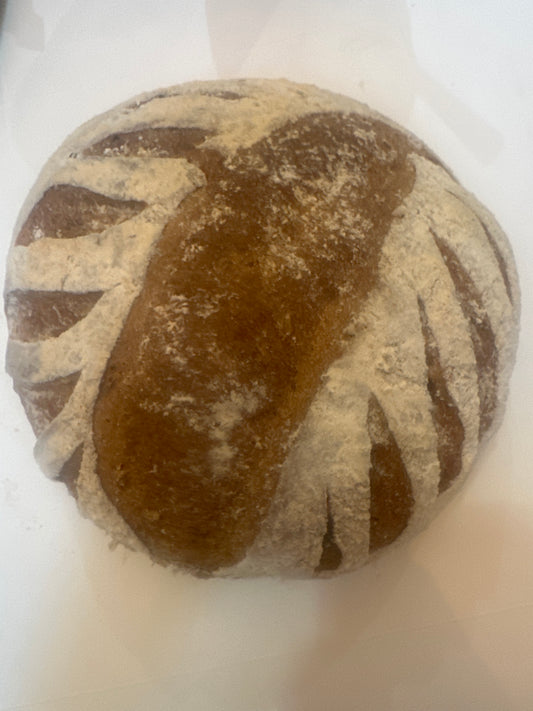DARK MULTI GRAIN
